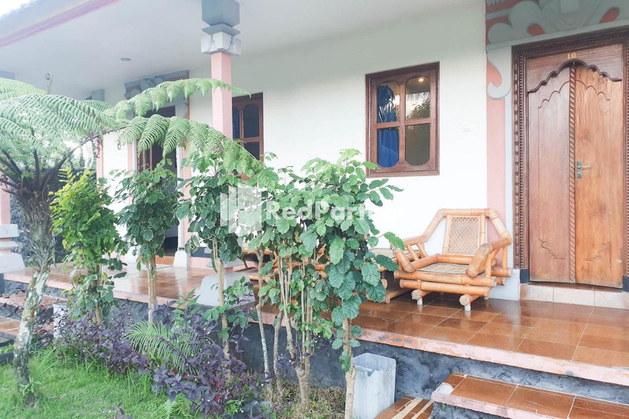 Arlina'S Guest House Kintamani Redpartner Dış mekan fotoğraf