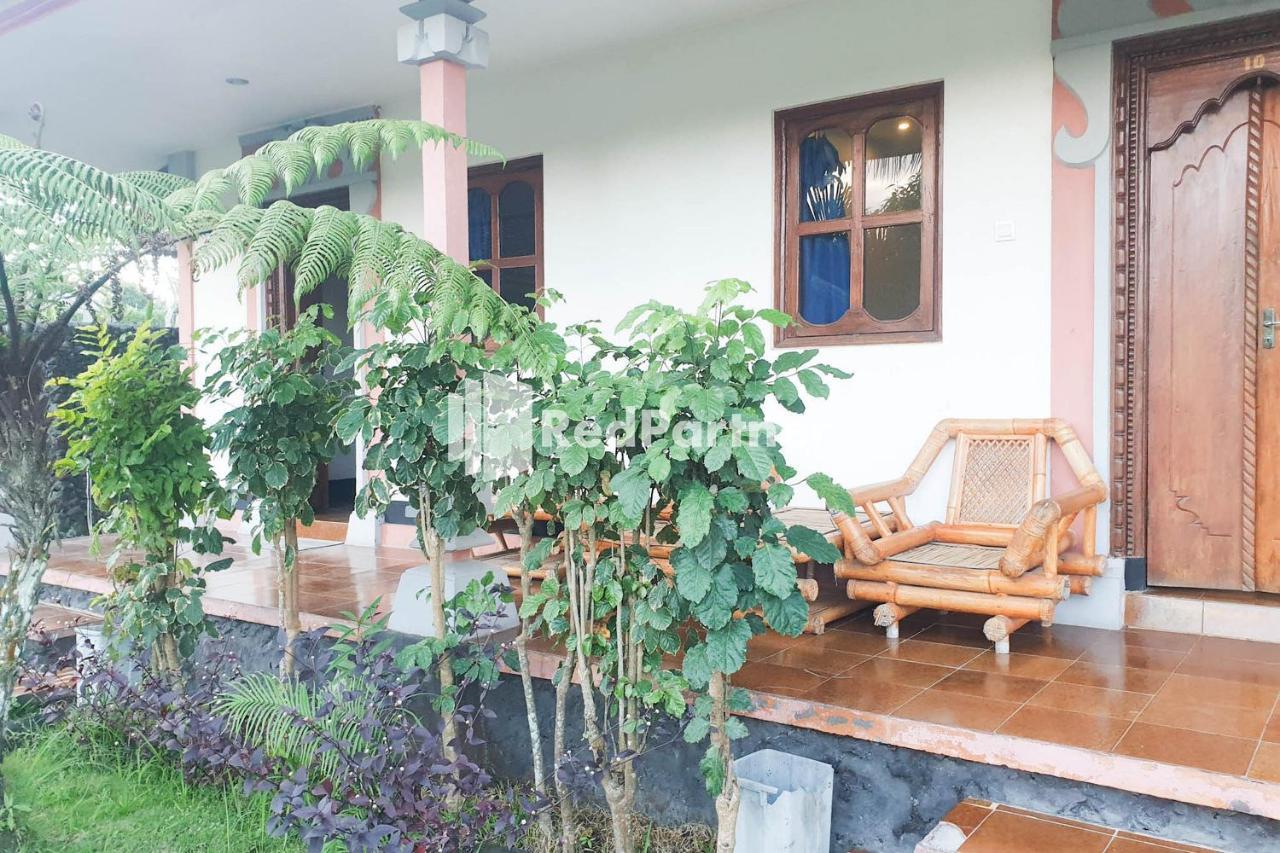 Arlina'S Guest House Kintamani Redpartner Dış mekan fotoğraf